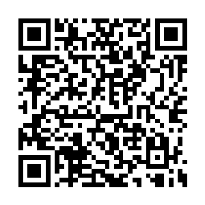 我根本连其他女士的内衣是什么鬼都没见过好吗二维码生成