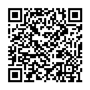 我正一个人在那条竹林中的小路上慢慢的徘徊着二维码生成