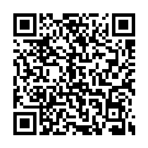 我正在体会最近半年多你一直在体验的失败滋味二维码生成