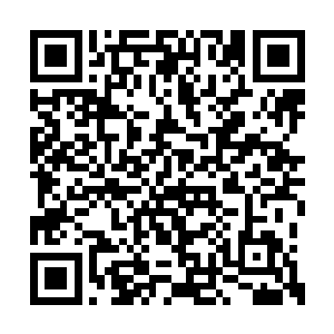 我正好可以利用这个机会把柳生家族彻底铲除了二维码生成