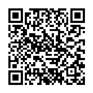 我正愁不知道去那弄位面门的消息破灭天道最新章节二维码生成