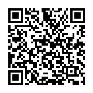 我正是需要您和蒋先生这样有能力有财力的人合作了二维码生成