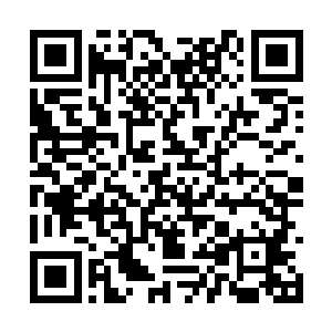 我沒有那么多的时间等待着怒放集团一步步的发展二维码生成