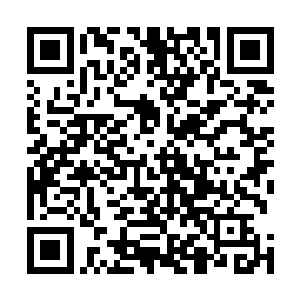 我没想到……这些紫色蔷薇花在你心里竟然真的这么重要二维码生成