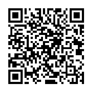 我没想到看上去哈哈的不着边的师叔还有这么大的智慧二维码生成