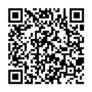 我没想到竟会在这里见到国内这一杀局的安排者二维码生成