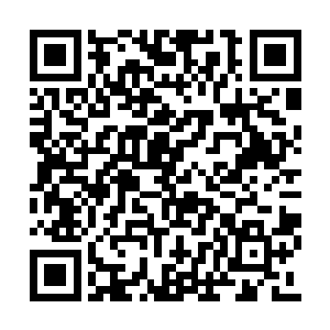 我没有必要也没有理由强迫自己说一些违心的话二维码生成