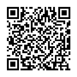 我没有想到刘渊然会为了我而对抗数十万的人鬼二维码生成