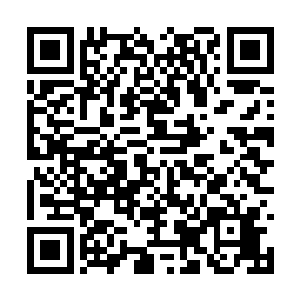 我没有想到这个世界上还有人会流浪到这个地方来二维码生成