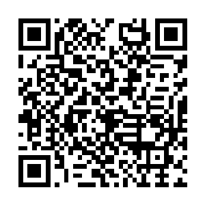 我没有机会看到你从西班牙魔掌下挣脱的那一天了二维码生成