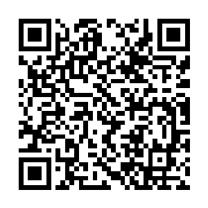 我没有那个意思――我就是想简单地请你吃一顿饭二维码生成