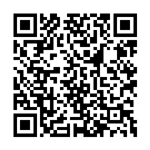 我派过去进行拦截的战斗机被大日帝国拒绝入境二维码生成