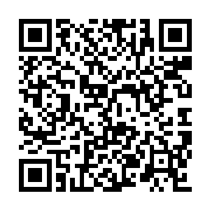 我深吸了一口气拿着笔头指了一下那个认罪文件二维码生成