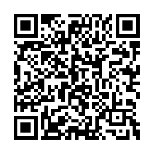 我渐渐自我催眠把他当作一个迷失在远方的少年二维码生成