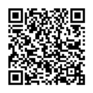 我满意地跨上这辆银白的自行车一路叮铃铃地回到了家二维码生成