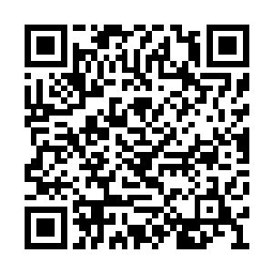 我炼骨族便在这些飞船的残体上分别建立了城市二维码生成