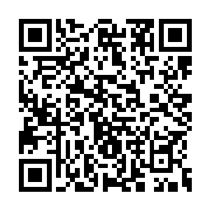 我父母带着孩子应该去看体育馆那边的比赛去了二维码生成
