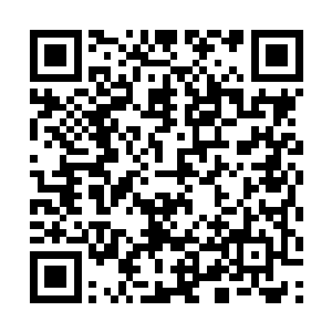 我爷爷也坐在这里――我拿先生和我爷爷的名誉起誓二维码生成