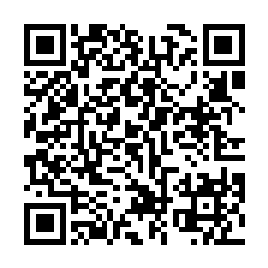 我爸似乎要跟我解释解释为什么要跟您在马路上手拉手二维码生成