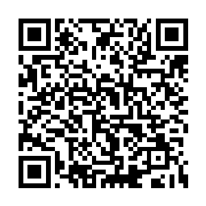 我爸和电视台的领导在办公室里密谈了一个上午二维码生成