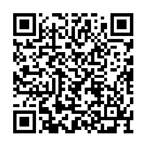 我爹和娘亲早就允诺我的婚姻大事要我点头方可二维码生成