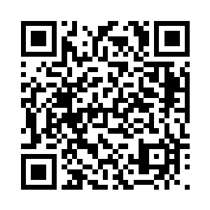 我特地吩咐厨师今晚做了一顿全鱼宴二维码生成