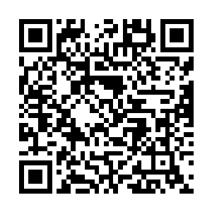 我狞笑着吞吃了他们魂魄在我腹内转化成血丹的养料二维码生成
