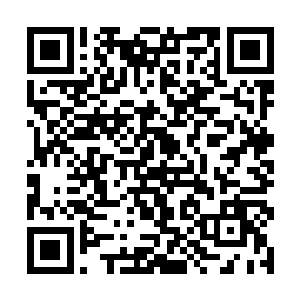 我猜想出售五阶魔核的人很有可能就是两年前的无云二维码生成