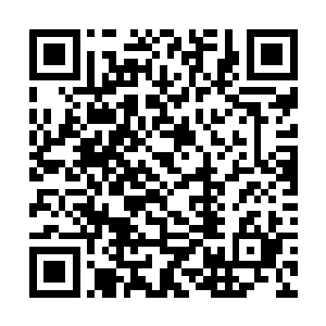 我猜测我的战斗力可以轻松击败先天以下的任何存在二维码生成