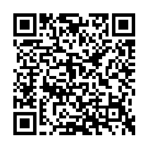 我猜这孩子一定是被我肚子上的孕妇纹给吓到了二维码生成