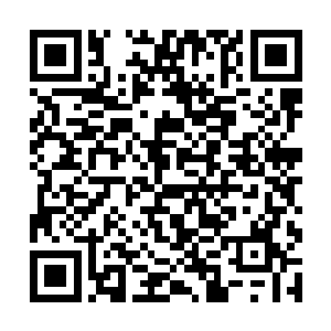 我猜这通仙古城也是想要趁着仙河榜的热度大赚一笔二维码生成