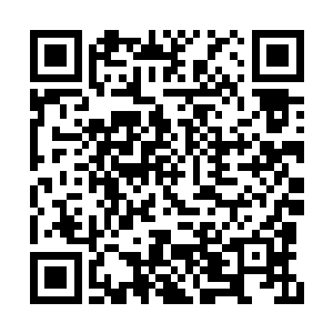 我现在个子怎么也跟龙战差不多啊・・・・・・二维码生成