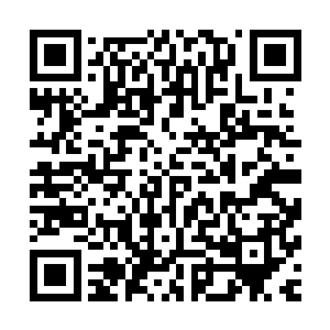 我现在也将剑术宗师所能够掌握的理论和剑术造诣彻底的掌握二维码生成