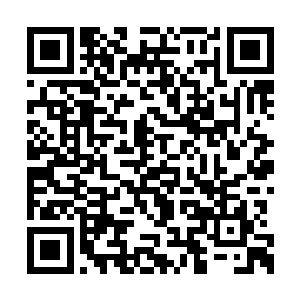 我现在修炼的还是大哥当年给我的顶级真武秘籍二维码生成