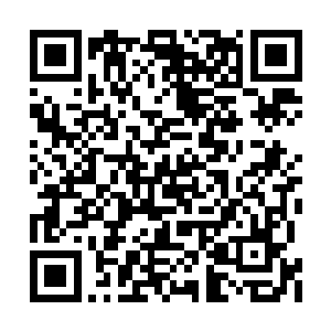 我现在倒是真的和你好奇你说的交易是要干什么二维码生成