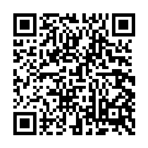 我现在储物空间内还有母亲给的不少火属性灵物二维码生成