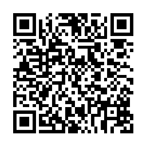 我现在只不过就是在担心要是我现在打开了结界二维码生成