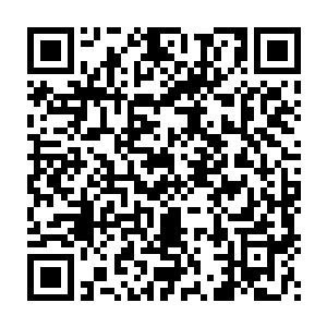 我现在告诉你们要是今天我死了的话我绝对会拉上你们所有人陪葬二维码生成