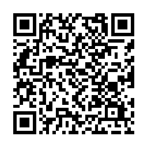 我现在和以后的所有家产都无偿送给我的丈夫张锋二维码生成