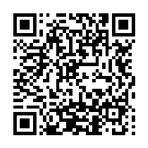 我现在好像迫不及待想要看到另一个保险柜里的东西了二维码生成