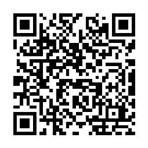 我现在就想核实一下这里面的举报材料是不是真的二维码生成