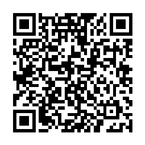 我现在想要知道的是你有没有能力做好交给你的事情二维码生成
