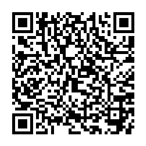 我现在手里拿的钢管和街上真正那些混社会的人火拼用的钢管不一样二维码生成
