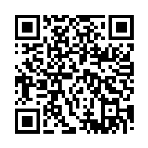 我现在是东南航空公司的第二大股东二维码生成