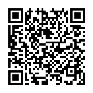 我现在知道我二十岁那年您为什么不让我来市里了二维码生成