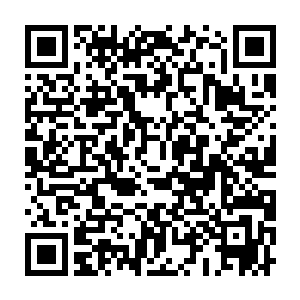 我现在终于明白……为什么系统会突然给我们这种超出常理的强化了二维码生成