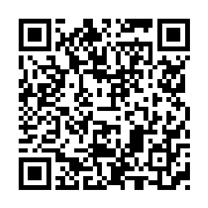 我现在还不知道被他使用过的豆子还能不能再用二维码生成