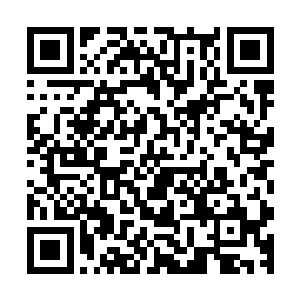我甚至不知道什么时候打出来的就这么一招就解决了骆老疯子二维码生成