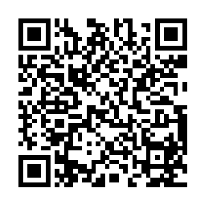 我甚至做好了被王瑶狠扇一巴掌甚至狠揍一顿的准备了二维码生成