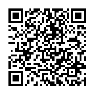 我甚至看到了萧子卓的双目都在不断的开始泛出血光二维码生成